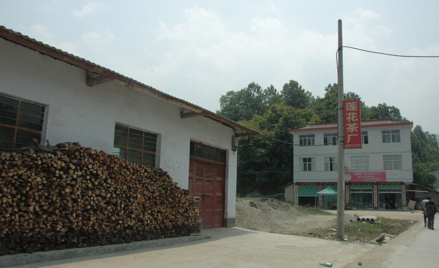 县镇巴碾子镇也有小部分地区种 茶,但是在 莲花村800多亩 茶园,由于