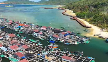 [远方的家]行走海岸线（6） 用海爱海疍家人_CCTV节目官网-CCTV-4_央视网(cctv.com)
