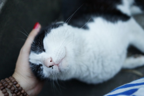 巅峰对决 富士X-Pro1\/索尼NEX-7对比_IT台