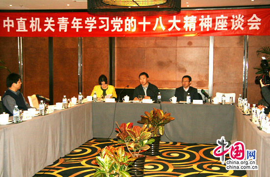 11月23日，中直机关青年学习宣传贯彻党的十八大精神座谈会召开。图为座谈会现场。中国网 傅阳 摄