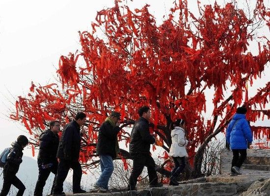 元宵节各地找“乐子” 赏花观灯去寻春