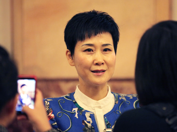 政协第十二届全国委员会委员中电国际董事长李小琳接受央视网记者的采访