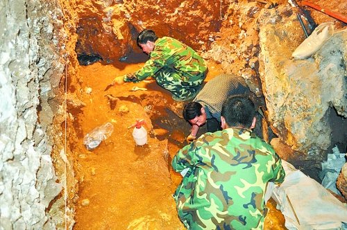 河南首次考古出土猿人化石 揭秘栾川人之谜