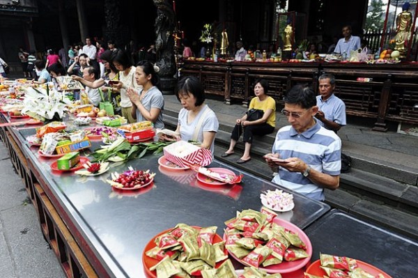 春日洗肺计划 开启环保绿色之旅