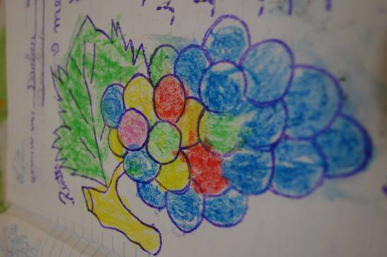 孩子们画的葡萄，五颜六色的