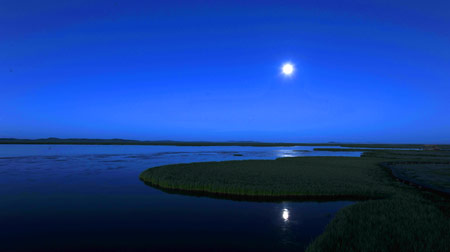 湿地之夜