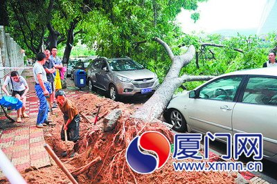 厦门:雷电持续7小时创气象历史记录 明后天有