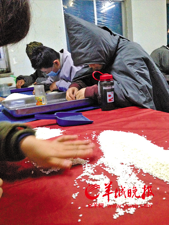 凌晨2点,大悲寺下院的女居士们在数米并将米里的虫子挑出来(知情人提供)