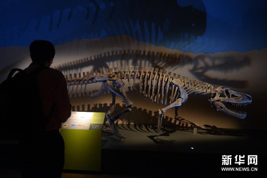 （4）1月23日，媒体工作者在新加坡艺术科学博物馆举行的恐龙展媒体预展上参观。