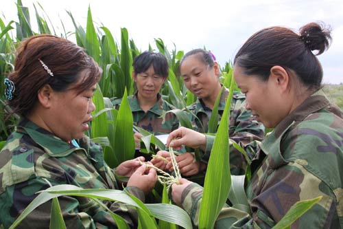 张丽华为职工传授玉米种植技术
