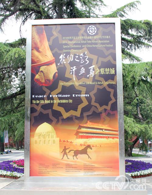 中国马文化节活动现场。 