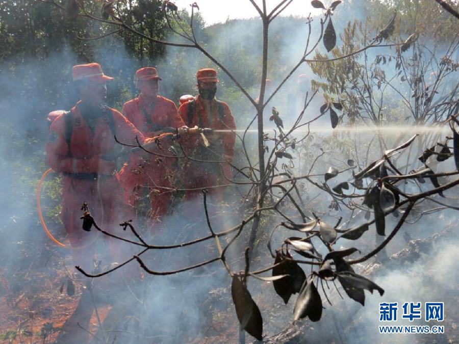 云南牟定发生一起森林火灾 <em>过火</em>面积约300亩_