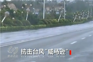 视频截图