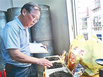 四十余年来的制茶学茶，不断摸索、不断创新，叶以发将武夷岩茶传统的制茶技艺与省时、省力、省心的现代技术完美结合。图为叶以发在审评茶叶。 