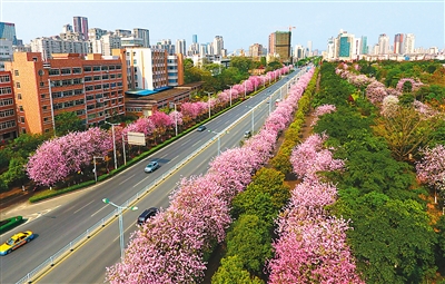 这5年 绿色发展添彩美丽中国