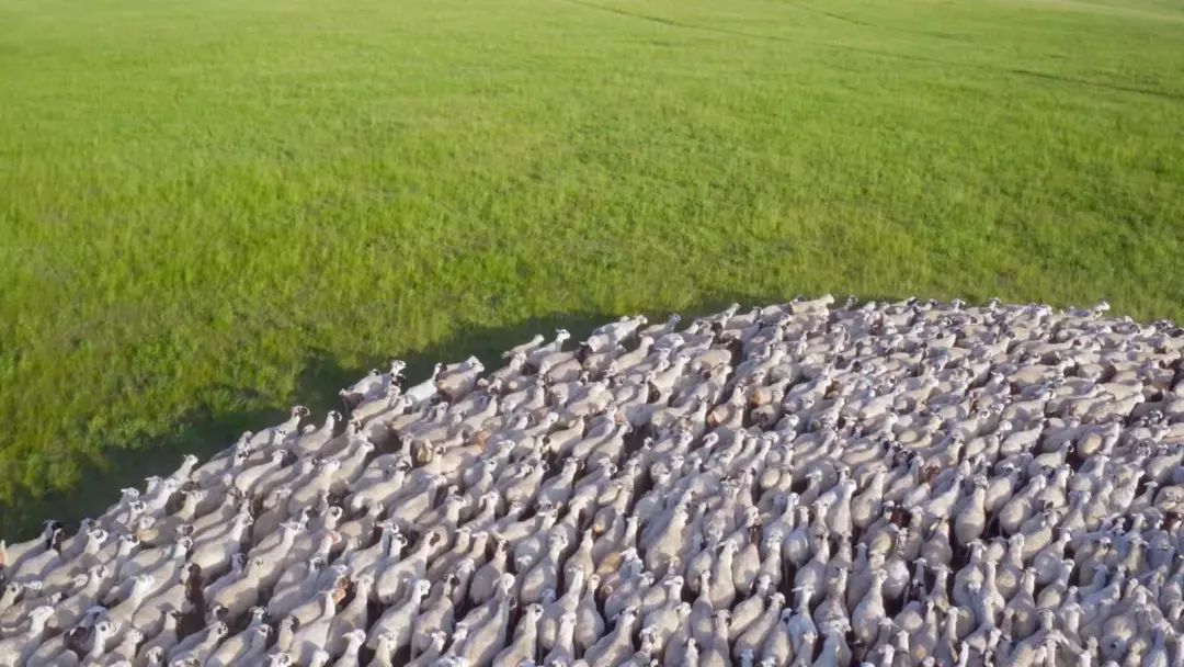 俯瞰美丽中国 记录伟大时代 《航拍中国》第二