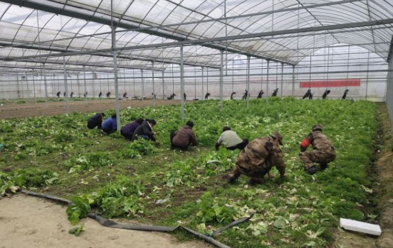 #春耕#【地评线】荔枝网评:不失时机抓春耕,稳住农业“基本盘”