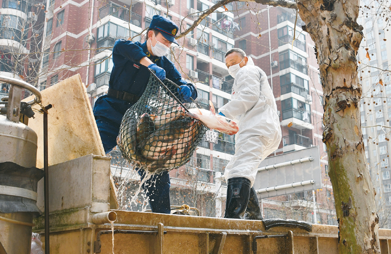 　2020年3月13日，一批运到武汉社区的活鱼正在卸货。当日，首批100吨调配自湖北省咸宁市的活鱼运抵武汉市硚口区11个街道下辖社区。 新华社记者 程敏/摄