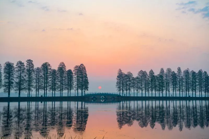 #武汉#这就是今天早上的武汉！