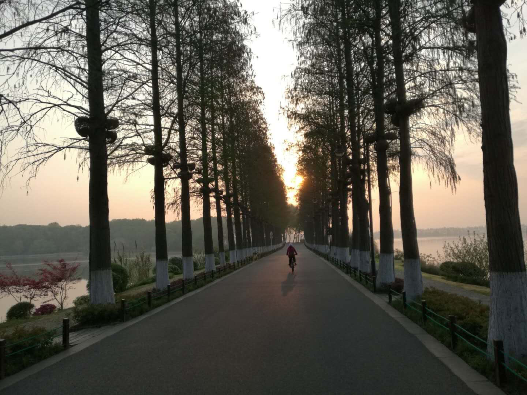 #武汉#这就是今天早上的武汉!