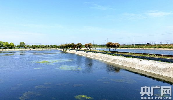 『生态环境』湖南益阳：矿区变绿地 截污拆违治水建设大湖经济