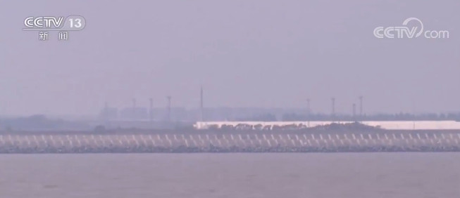 「长江口」长江口水域非法捕捞专项执法 多地多部门联合执法 高频次查违规行为