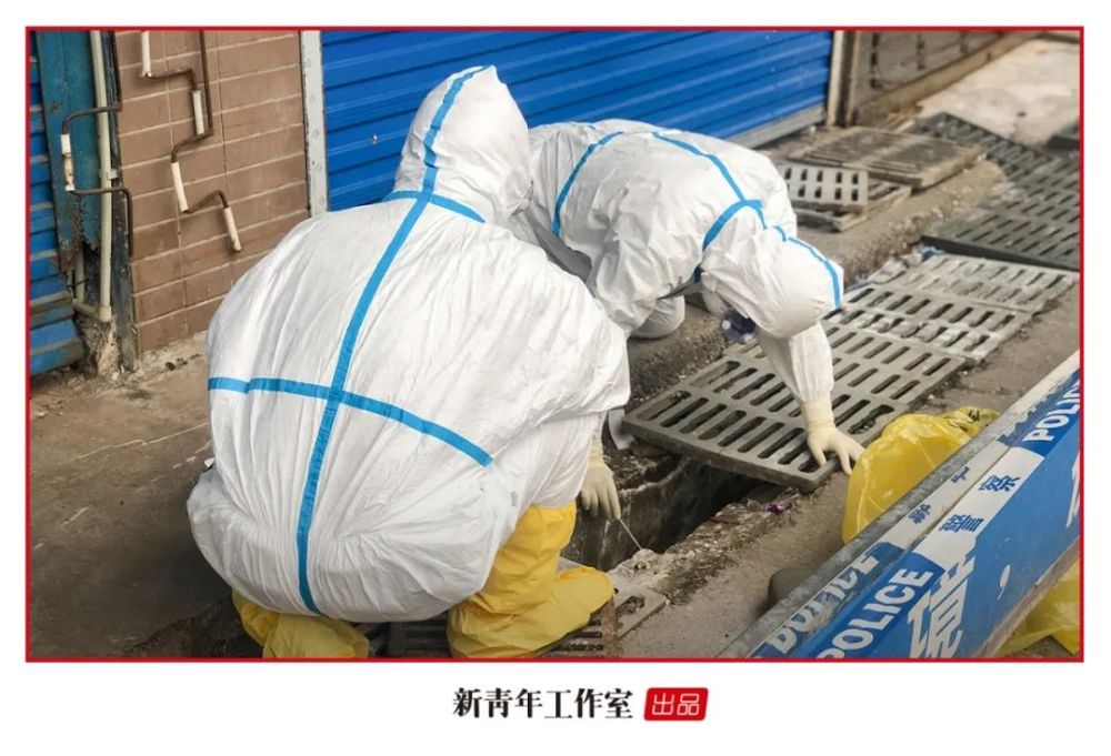 「捕手」“病毒捕手”