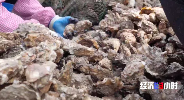 【粮食价格】他火了！理工博士、网红市长！频频登上热搜榜，金句频出的“带货王”