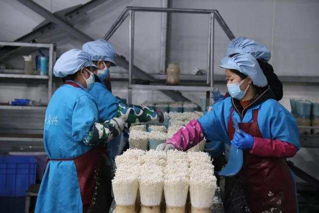 [劳动节]劳动节，他们奋斗的姿态最美！