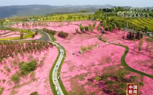 “五一”假期新闻观察：“五一”假期 居民消费潜力释放