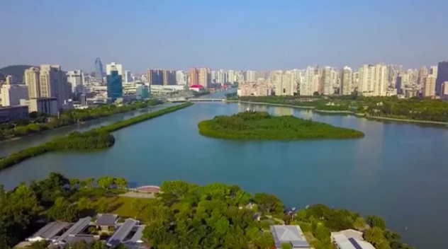 海景房海景房打五折，酒店直播卖餐位！90后副镇长变导游