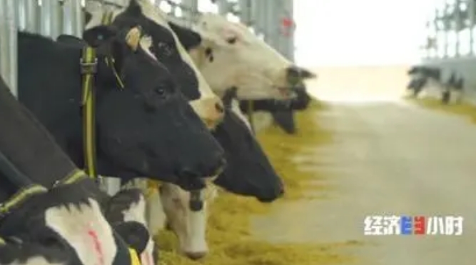 造车不仅造车，这家车企今年还要发射卫星