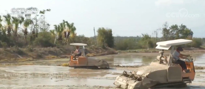 广东广东：春播春种结束 机械化作业助推春耕生产