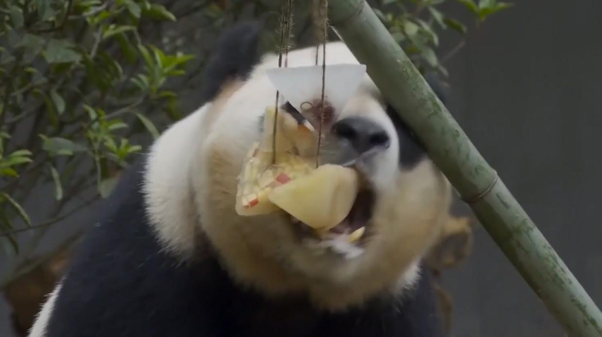 8点见|【8点见】端午假期首日全国接待国内游客1727.6万人次