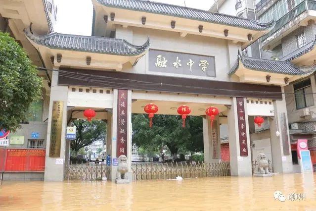 娘子军|在广西抢险抗洪第一线，她们是乘风破浪的“娘子军”