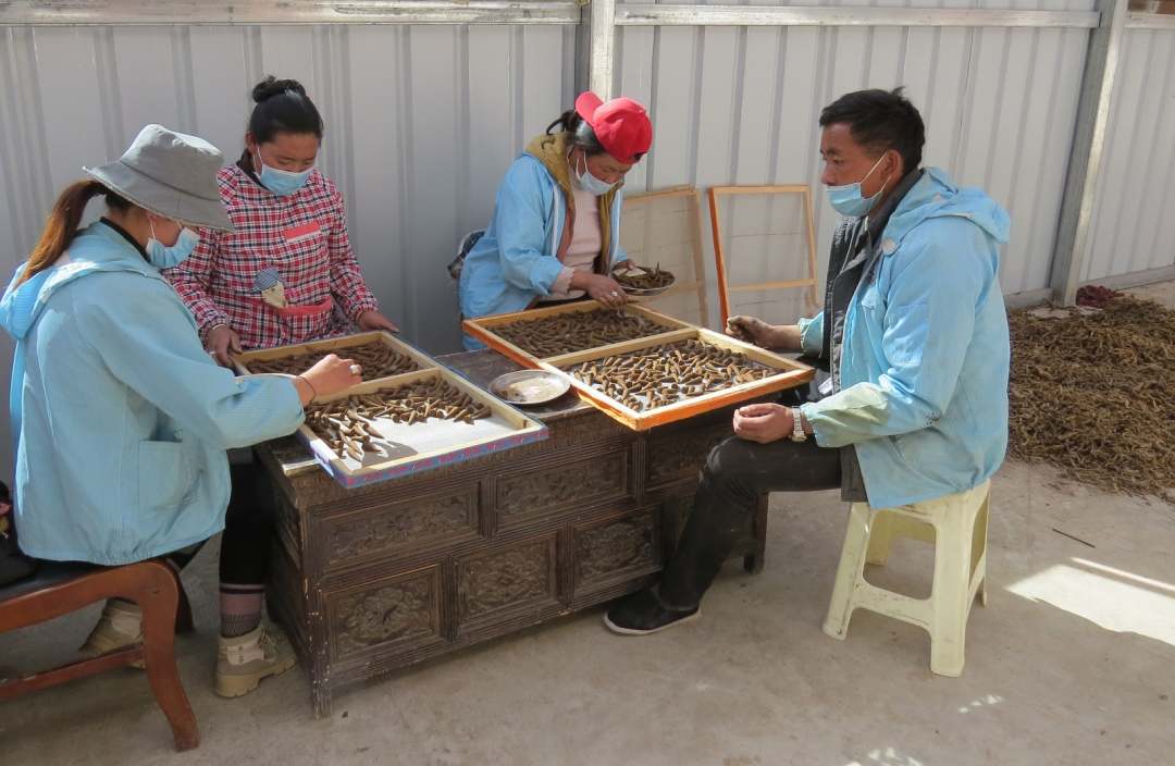 新扎村|新扎村的“幸福密码” 华丽转身奔小康