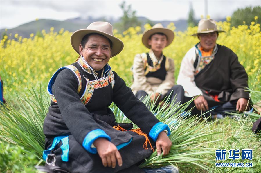 这是西藏山南隆子县隆子镇忙措村的农民（2017年7月7日摄）。
