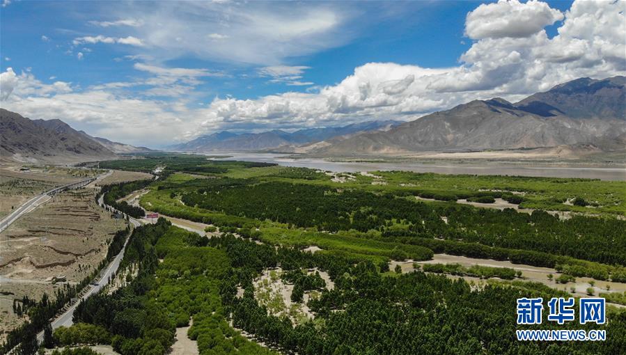 雅鲁藏布江岸边绿树成荫，好似一道绿色长廊（6月27日摄，无人机照片）。