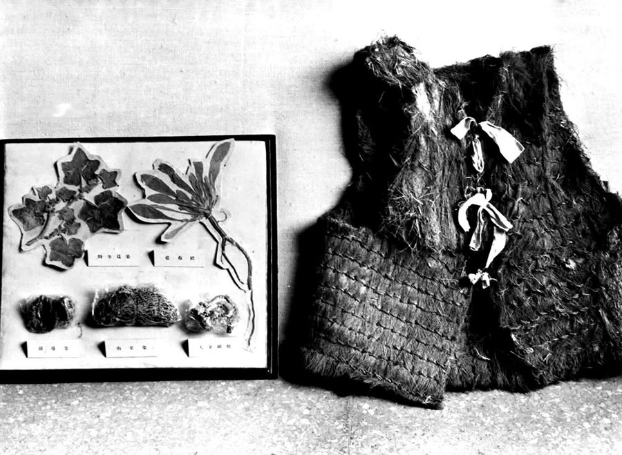 红军长征时吃过的野菜的标本（左）和穿过的棕背心 新华社图片