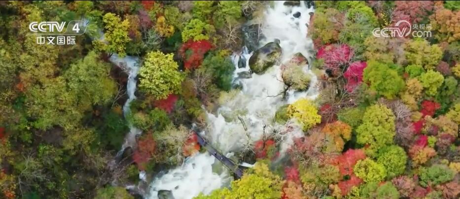 保护蓝天碧水 中国生态环境保持改善态势