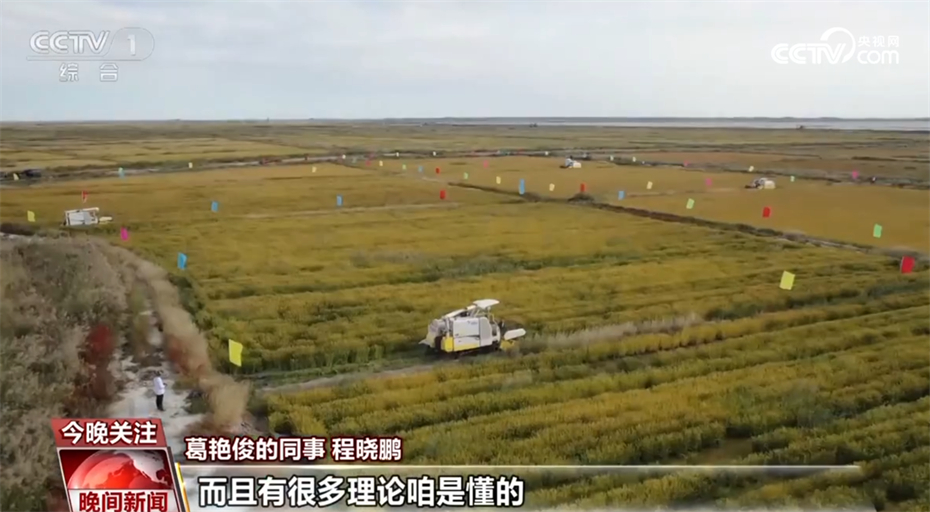 农田里的青春力量_科技新农人让盐碱地飘出稻花香 图7