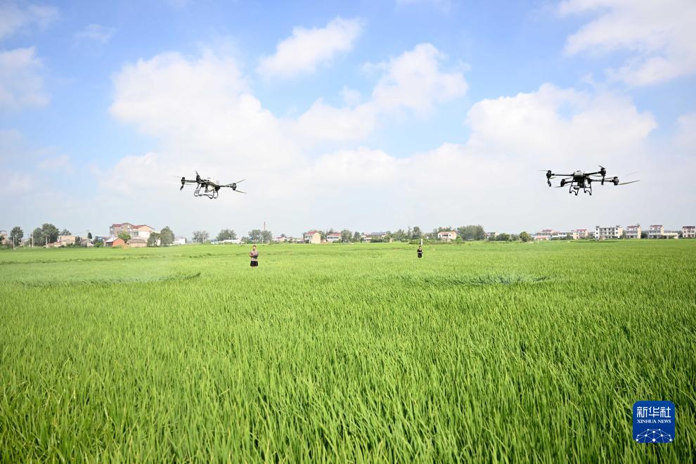 大学生“新农人”的田园创业梦 图2