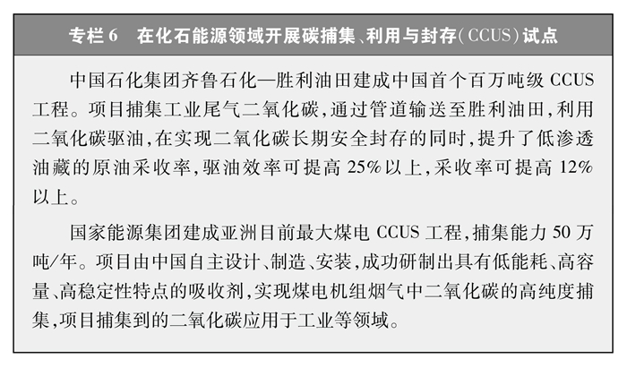 中奇异果体育入口国的能源转型(图8)