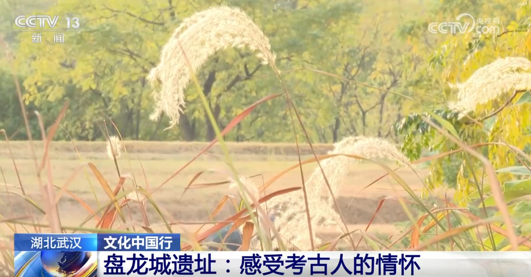 吉祥坊中国文化中国行|在盘龙城遗址感受考古人情怀 将3500年光阴直接打通(图2) 吉祥坊中国文化中国行|在盘龙城遗址感受考古人情怀 将3500年光阴直接打通(图2)