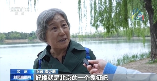 必赢入口限定“皮肤”已上线 北京雨燕和古建筑的适配度拉满了(图2)