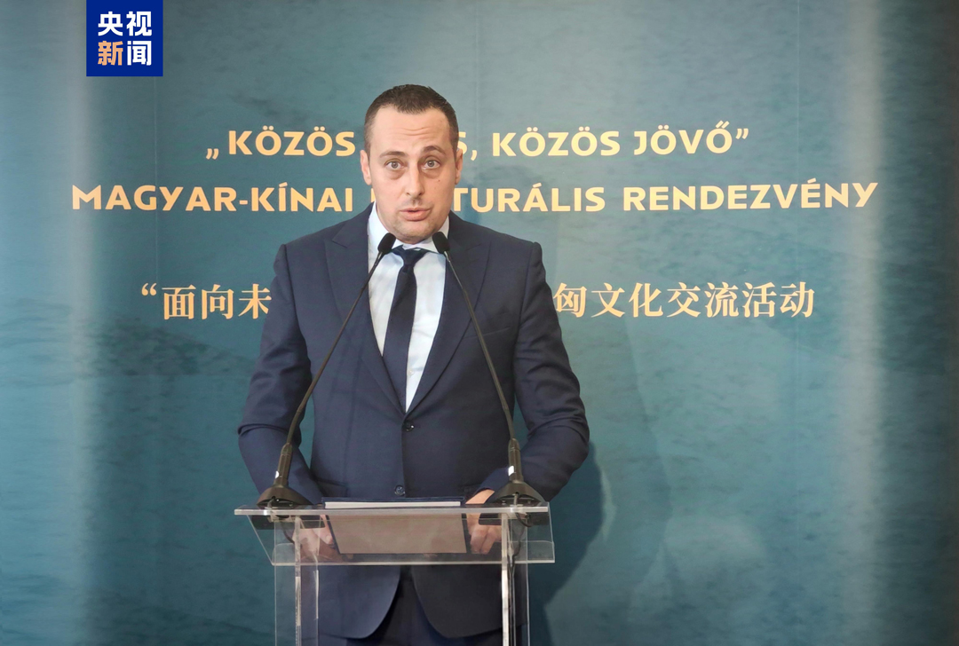 匈牙利媒體服務支持與資產管理基金副總裁派特&middot;佐爾坦