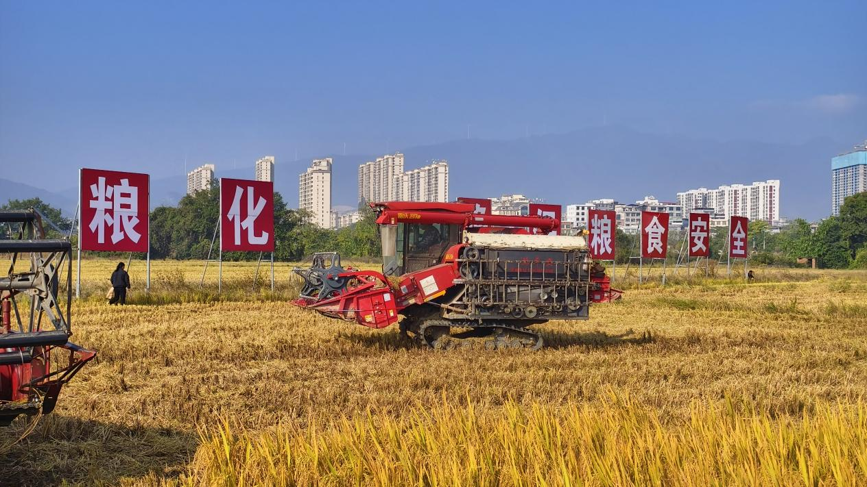 收割机在“保证粮食安全”标语前(余涛/摄)