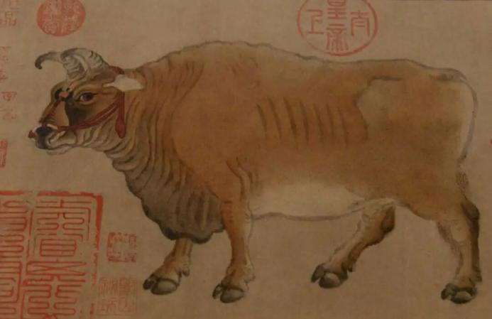 唐 韩滉《五牛图》卷