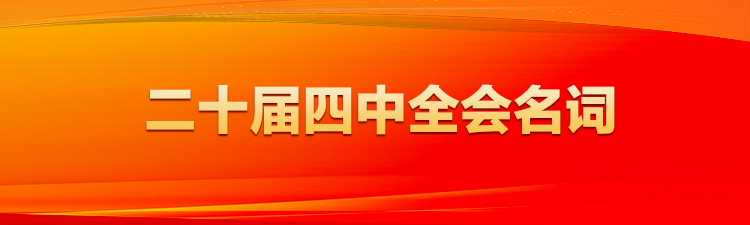二十屆四中全會名詞