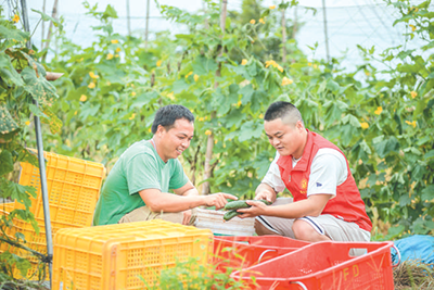 賀州市富川瑤族自治縣福利鎮(zhèn)花坪村村級(jí)后備力量、返鄉(xiāng)創(chuàng)業(yè)大學(xué)生楊馨登（右）對(duì)農(nóng)戶(hù)進(jìn)行種植技術(shù)指導(dǎo)（資料圖片）。 